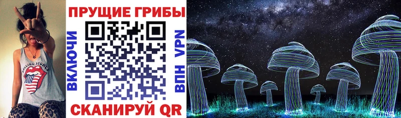 цены   Гаврилов-Ям  MEGA онион  Галлюциногенные грибы Magic Shrooms 